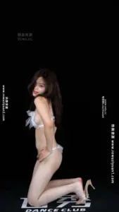 U秀舞团系列市面流出最全合集