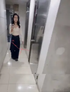 闯拍打灯 手机对焦清晰展示鲍鱼菊花